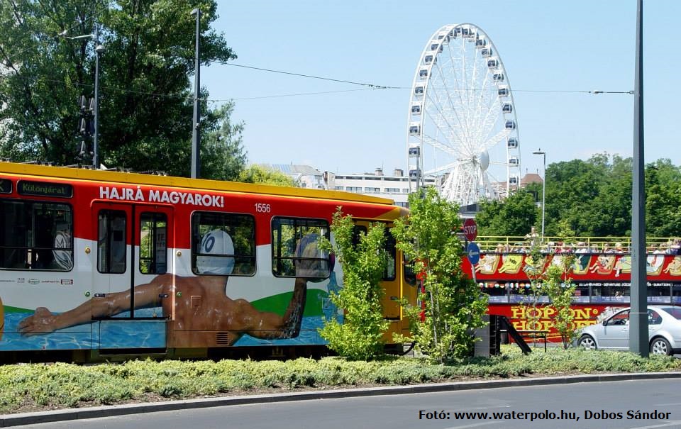 Vízilabda-Európa-bajnokság 2014 szurkolói villamos